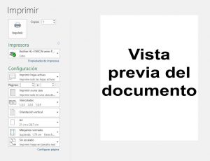 vista previa imprimir